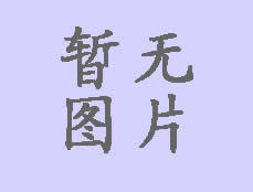 成功案例
